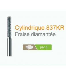 Fraise diamantée Cylindrique 837 KR