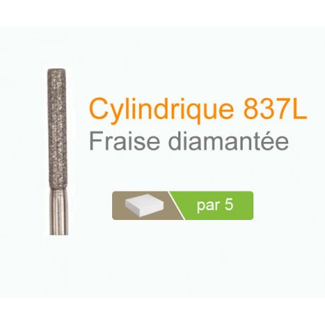 Fraise diamantée Cylindrique 837 L