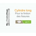 Fraises Cylindre long C21L