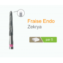 Fraise Endo Z Zekrya