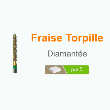 Fraise VT879 Torpille diamantée