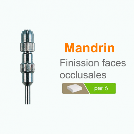Mandrin pour Finission faces occlusales