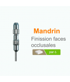 Mandrin pour Finission faces occlusales
