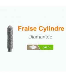 Fraise cylindre biseau F878