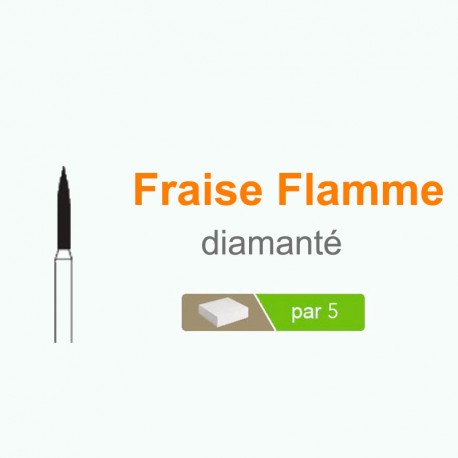 Fraise Flamme C862
